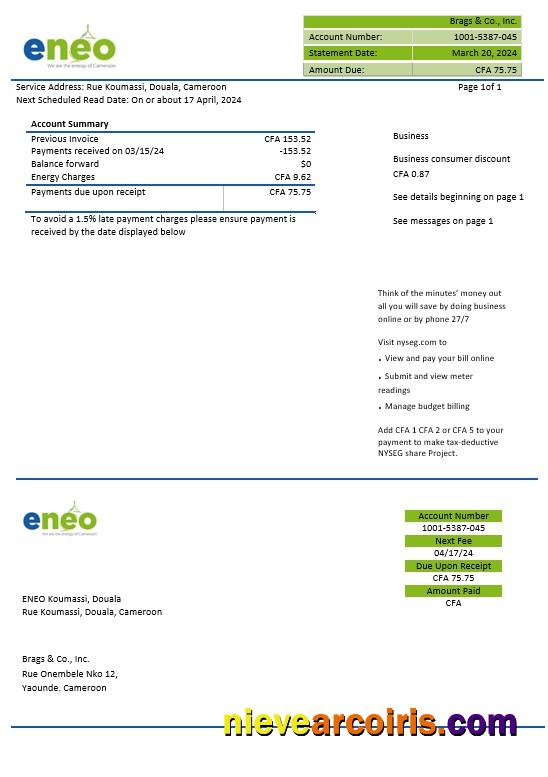 Cameroon ENEO electricity business utility bill